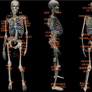 온라인교육과정