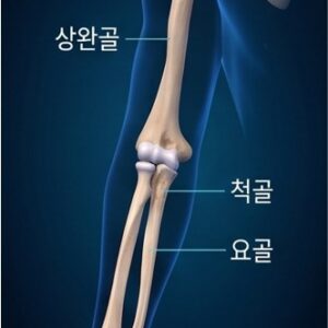 올바디프로-어깨,팔,손목,손
