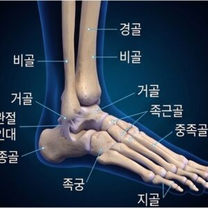 올바디프로-발,발목,보행