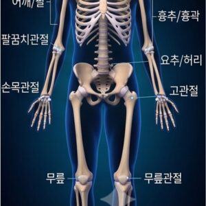 올바디프로-전신